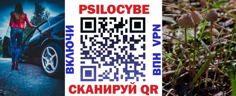 Галлюциногенные грибы мицелий  закладка  Щёлкино 